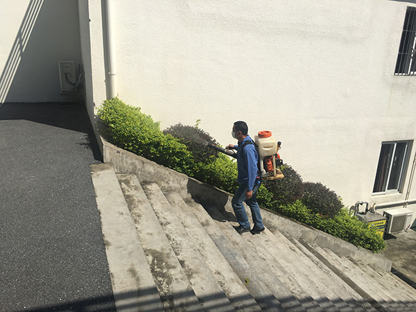 專業四害消殺服務，讓四害遠離您的生活